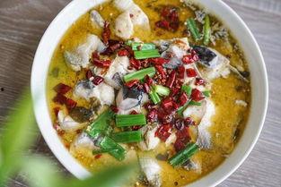 最新爆料酸菜鱼视频大全,美味诱惑来袭!