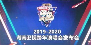 湖南跨年爆料最新消息,璀璨烟花秀与明星阵容大揭秘!